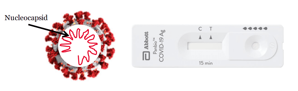 Panbio Abbott Nucleocapside